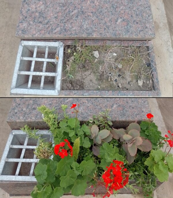 Replacing plants in flowerbed